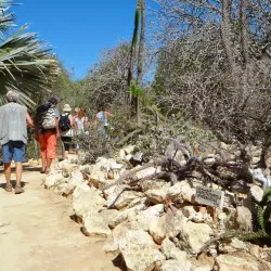 Arboretum d'Antsokay - Toliara