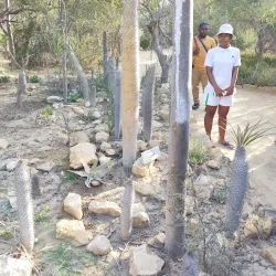 Arboretum d'Antsokay - Toliara