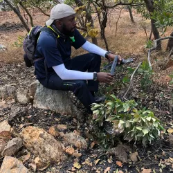 Chisamba Hills - Mchinji