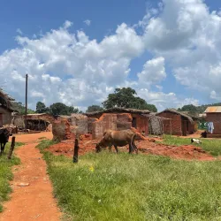 Mchinji Community Forest - Mchinji