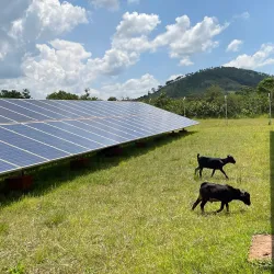 Mchinji Community Forest - Mchinji