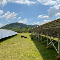 Mchinji Community Forest - Mchinji