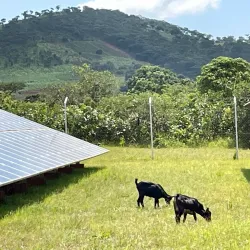 Mchinji Community Forest - Mchinji