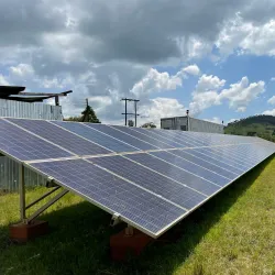 Mchinji Community Forest - Mchinji