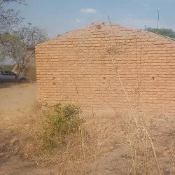 Mchinji Community Forest - Mchinji