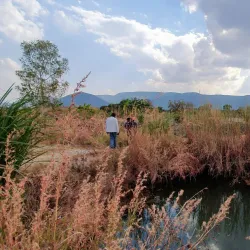 Mchinji Community Forest - Mchinji