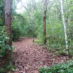Kacheche Nature Sanctuary - Mzuzu