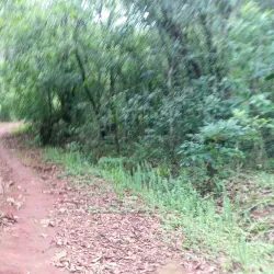 Kacheche Nature Sanctuary - Mzuzu