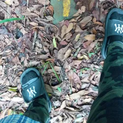 Kacheche Nature Sanctuary - Mzuzu