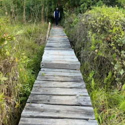 Luwawa Forest Lodge - Mzuzu