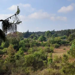 Luwawa Forest Lodge - Mzuzu