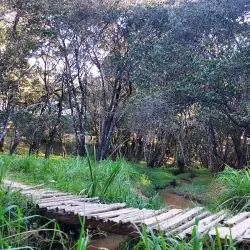 Mzuzu Botanical Gardens - Mzuzu