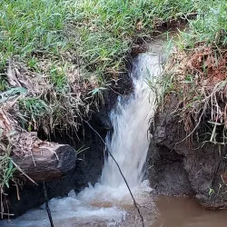 Mzuzu Botanical Gardens - Mzuzu