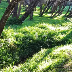 Mzuzu Botanical Gardens - Mzuzu