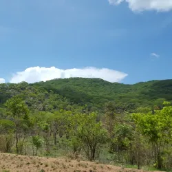 Lake Malawi National Park - Salima