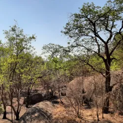 Lake Malawi National Park - Salima