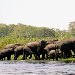 Liwonde National Park - Salima