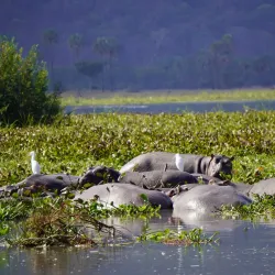 Liwonde National Park - Salima