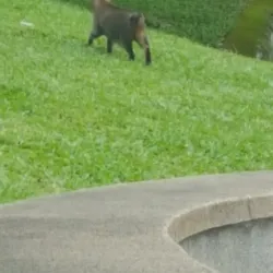 Ampang Hilir Lake Gardens - Ampang Jaya