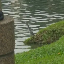 Ampang Hilir Lake Gardens - Ampang Jaya