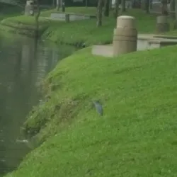 Ampang Hilir Lake Gardens - Ampang Jaya