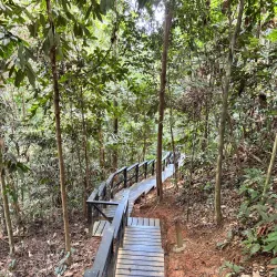 Bukit Nanas Forest Reserve - Ampang Jaya