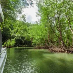 Bukit Nanas Forest Reserve - Ampang Jaya