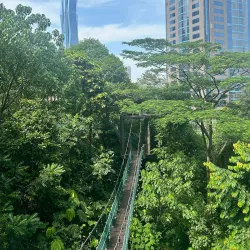 Bukit Nanas Forest Reserve - Ampang Jaya