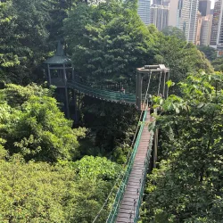 Bukit Nanas Forest Reserve - Ampang Jaya