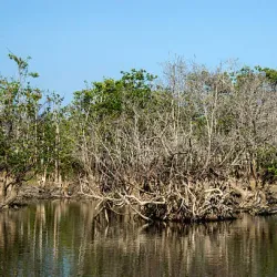 Bukit Nanas Forest Reserve - Ampang Jaya