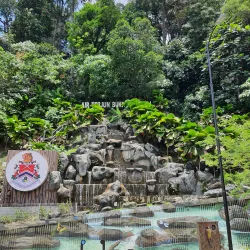 Bukit Nanas Forest Reserve - Ampang Jaya