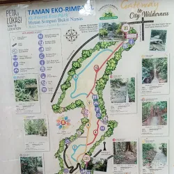 Bukit Nanas Forest Reserve - Ampang Jaya