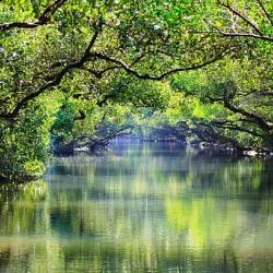 Bukit Nanas Forest Reserve - Ampang Jaya