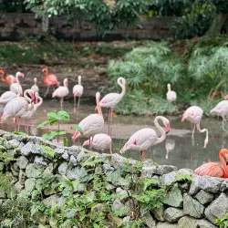 National Zoo of Malaysia (Zoo Negara) - Ampang Jaya
