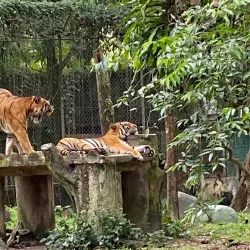National Zoo of Malaysia (Zoo Negara) - Ampang Jaya
