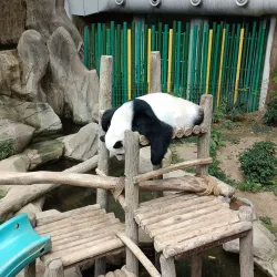 National Zoo of Malaysia (Zoo Negara) - Ampang Jaya