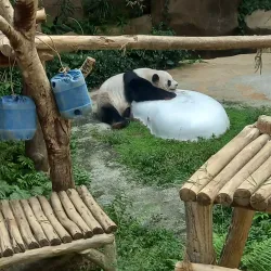 National Zoo of Malaysia (Zoo Negara) - Ampang Jaya