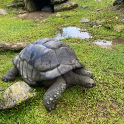 National Zoo of Malaysia (Zoo Negara) - Ampang Jaya