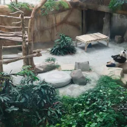 National Zoo of Malaysia (Zoo Negara) - Ampang Jaya