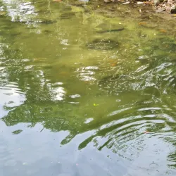 Taman Tasik Ampang Hilir - Ampang Jaya