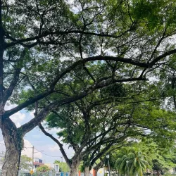 Taman Tasik Ampang Hilir - Ampang Jaya