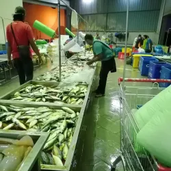 Bahau Market - Bahau