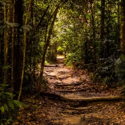 Gunung Angsi - Bahau