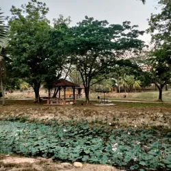 Taman Tasik Bahau - Bahau