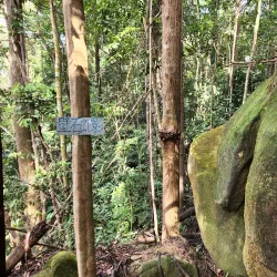Bukit Pasir Recreational Forest - Bandar Penggaram