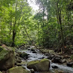 Hutan Lipur Sungai Congkak - Bangi