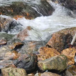 Hutan Lipur Sungai Congkak - Bangi