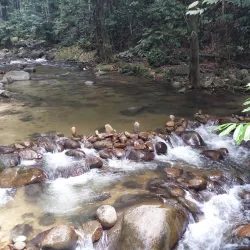 Hutan Lipur Sungai Congkak - Bangi