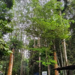 Hutan Lipur Sungai Congkak - Bangi