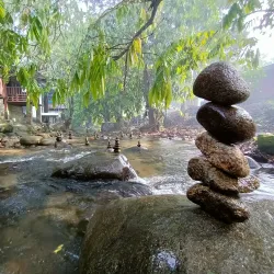 Hutan Lipur Sungai Congkak - Bangi